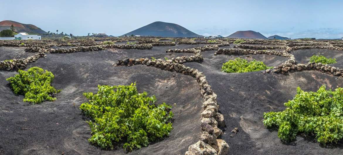 Canary Islands