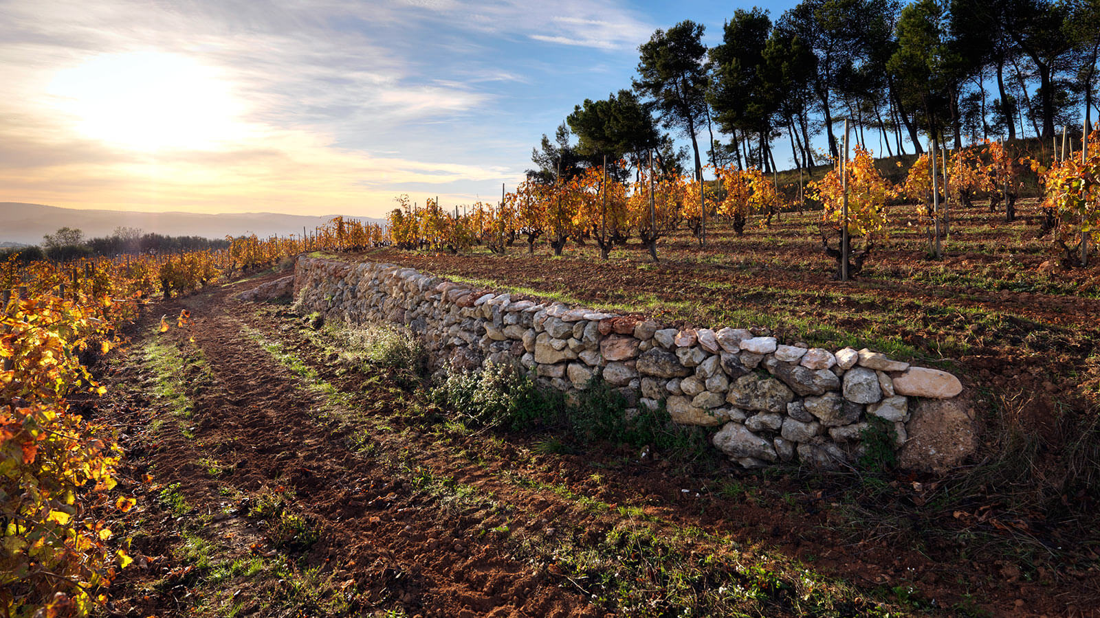Catalunya (non-Priorat)