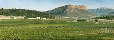 Jumilla & Yecla