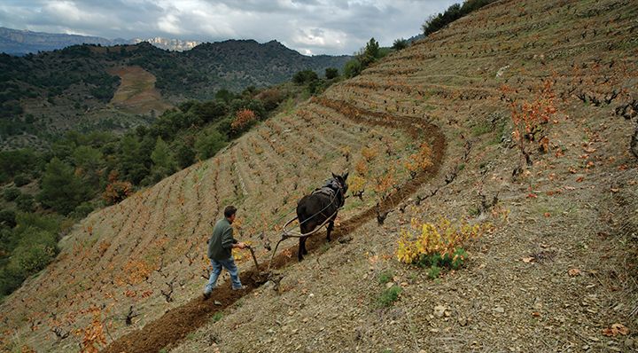 Priorat