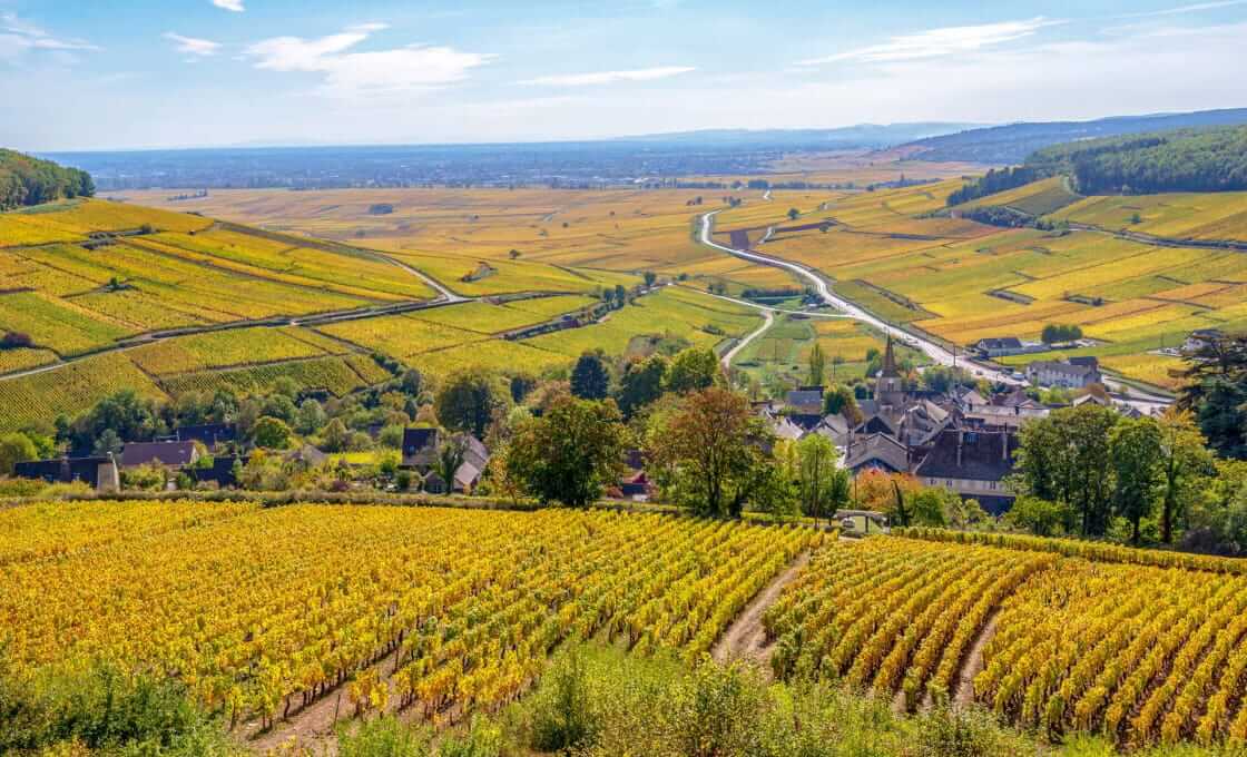 Burgundy -  Côte d’or