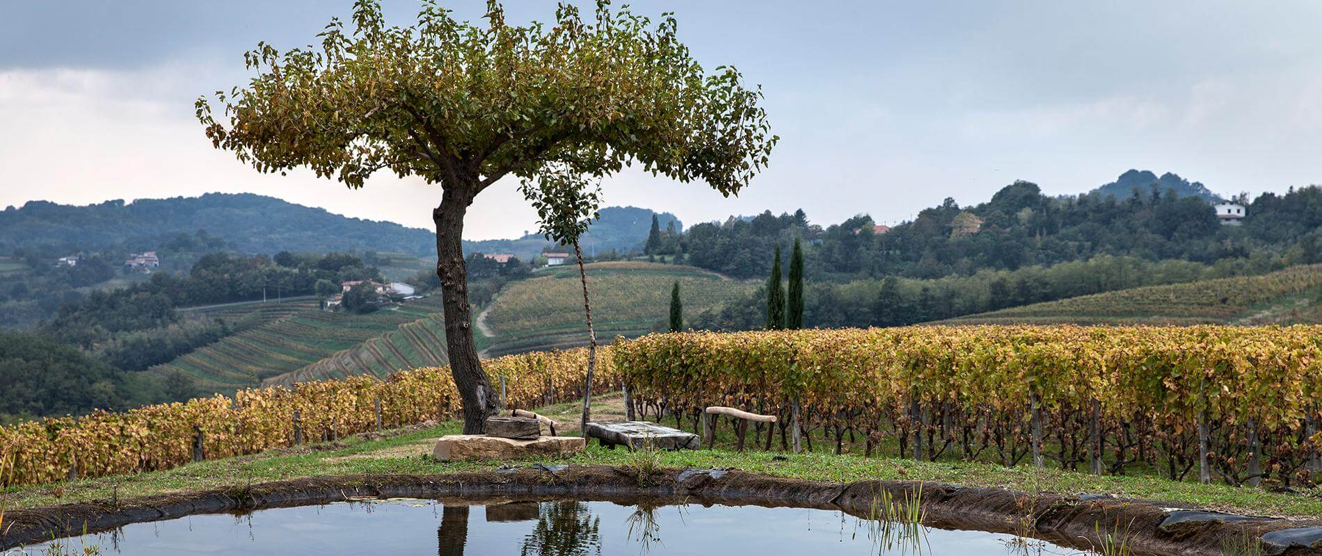 FRIULI-VENEZIA GIULIA