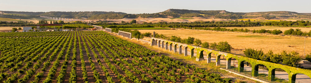 Ribera del Duero