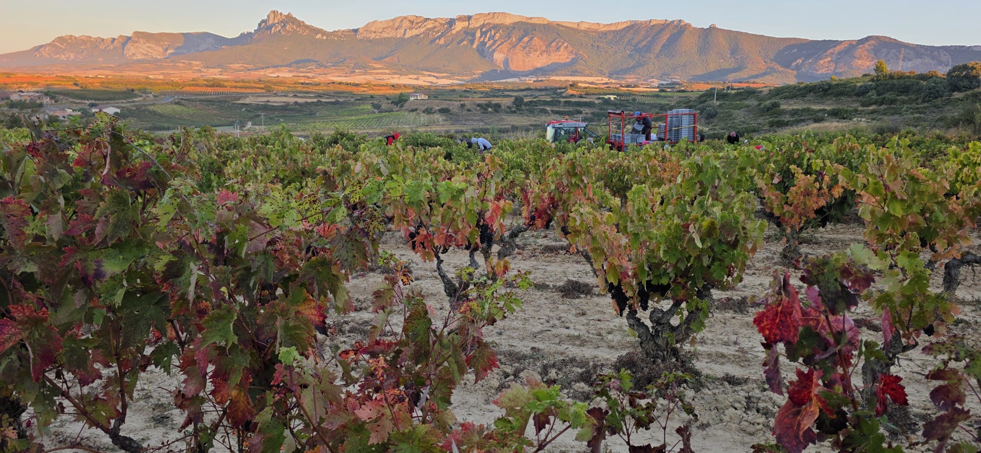 Rioja