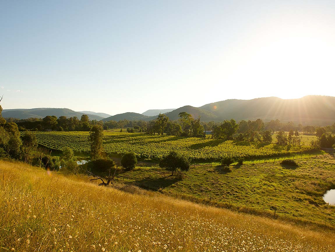 King Valley