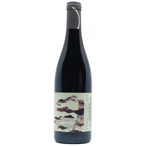 Chantereves Savigny les Beaune Dessus de Montschenevoy Rouge 2022