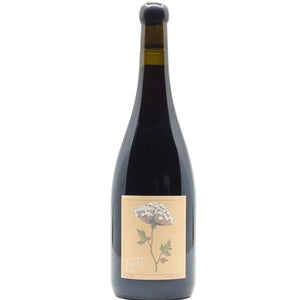 Luta Shadow Pinot Noir 2020