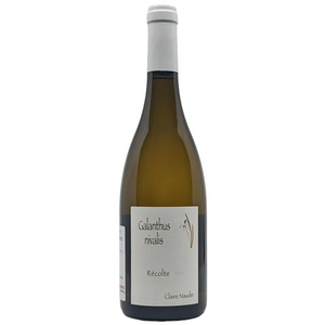 Claire Naudin Galanthus Nivalis Pinot Blanc 2022