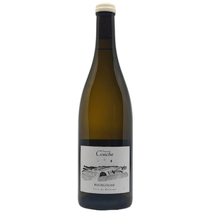 Domaine Vincent Couche Bourgogne Terre do Molesme Blanc 2020