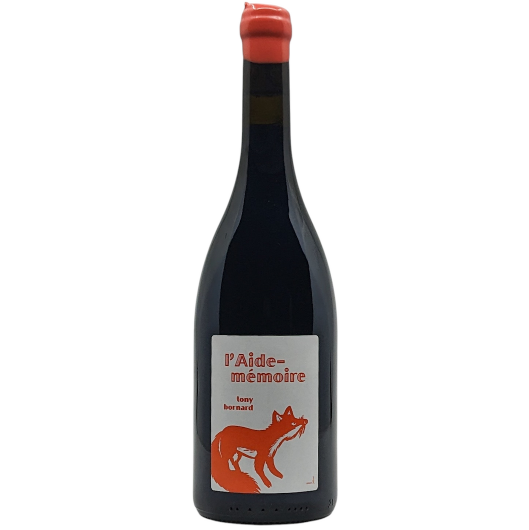 Philippe Bornard lAide Memoire Pinot Noir 2020 (Preservative Free)