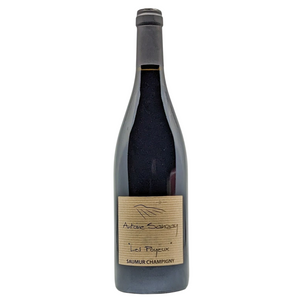 Antoine Sanzay Les Poyeux Saumur Champigny 2022