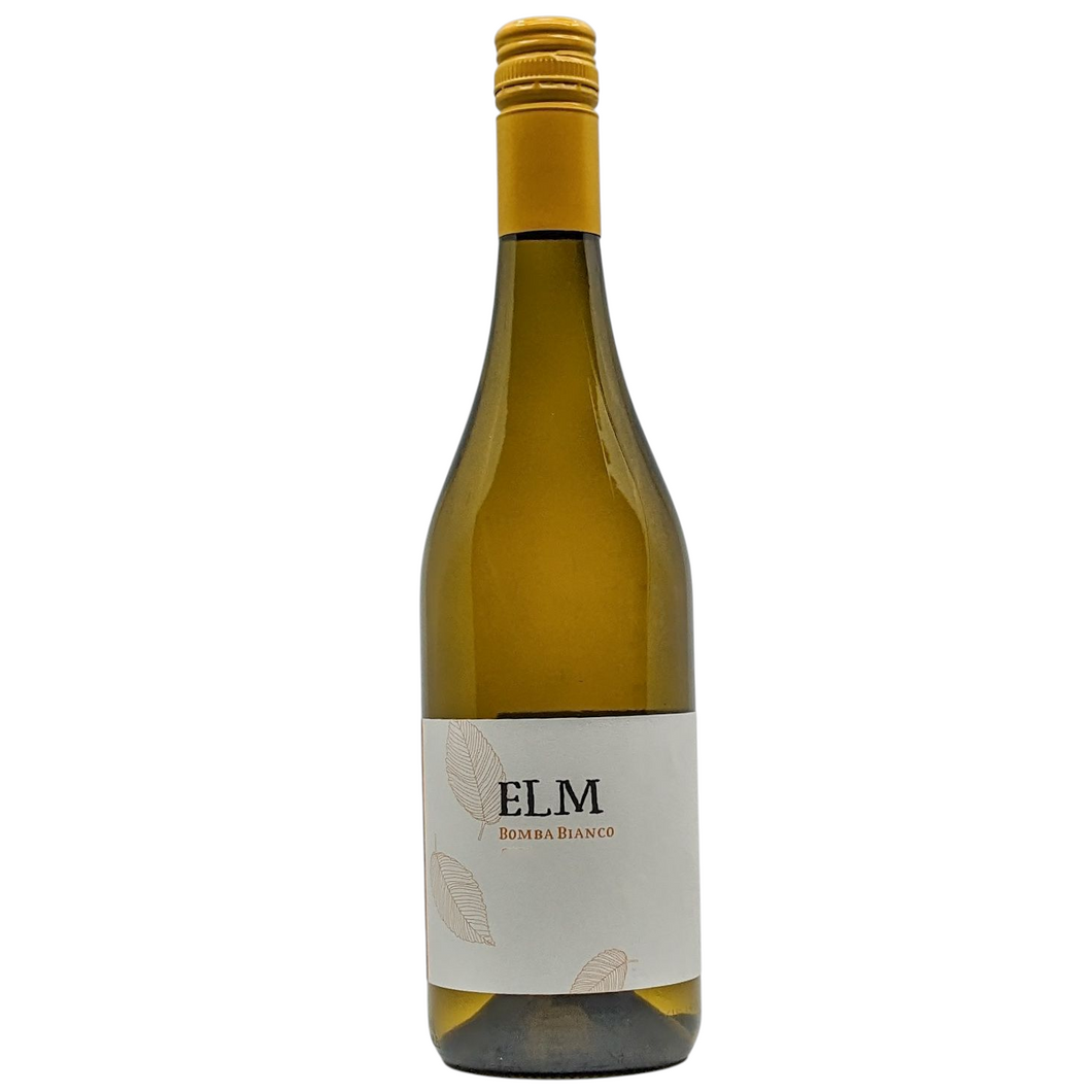 Elm Bomba Bianco 2024