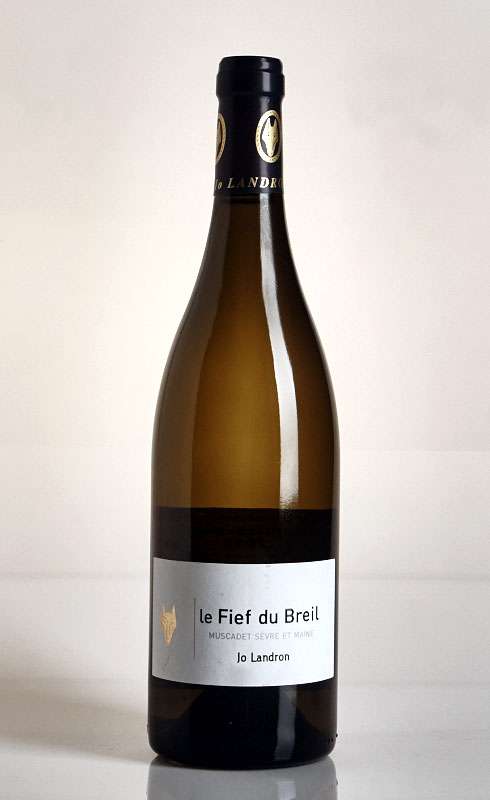 Jo Landron Le Fief du Briel Muscadet 2013 Annandale Cellars