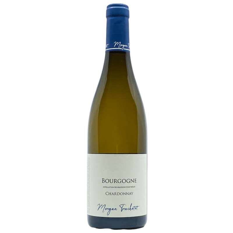 Domaine Truchetet Bourgogne Blanc 2020