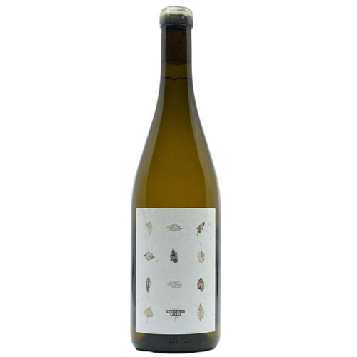 Scintilla Forest Texture Chardonnay 2021 (Preservative Free)