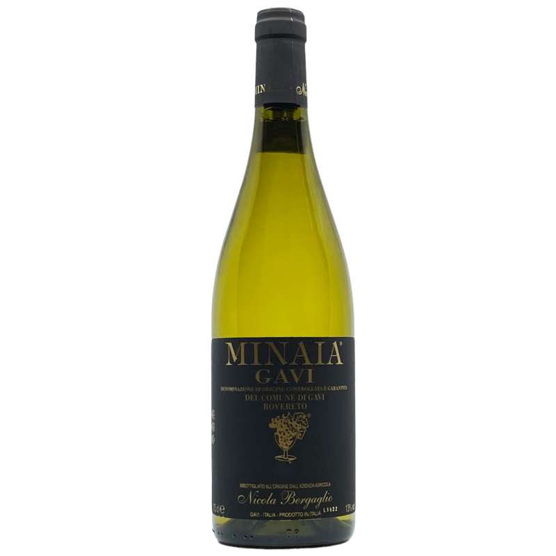 Nicola Bergaglio Minaia Gavi 2023
