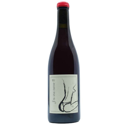 Anne et JF Ganevat Jen Vieux Encore Rouge 2023