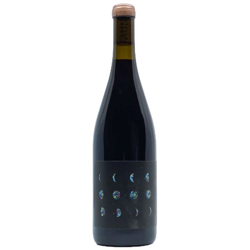 Scintilla Forest Pinot Noir 2022 (Preservative Free)