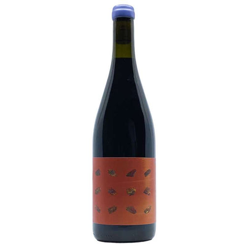 Scintilla Shiraz 2019 (Preservative Free)