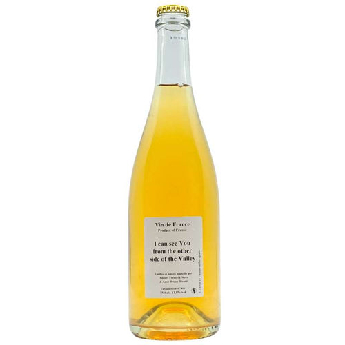 Anders Frederik Steen I Can See You From The Other Side Of The Valley Blanc 2019 (Preservative Free)