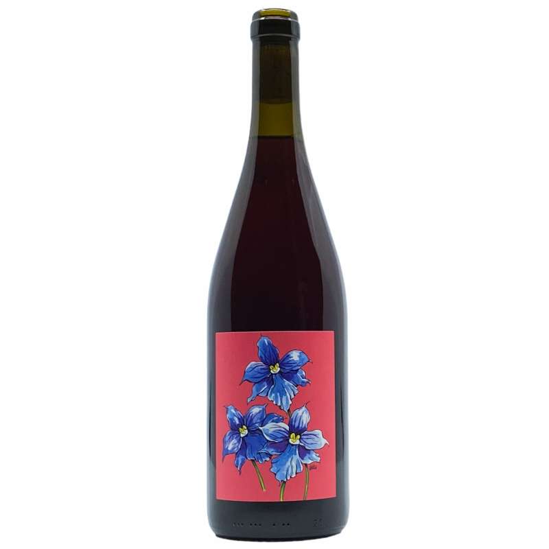 Borachio Pinot Noir 2020 (Preservative Free)