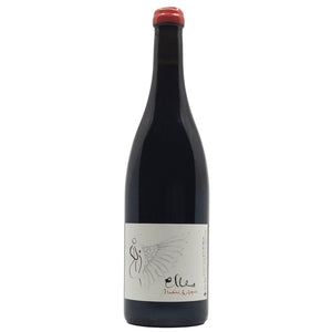 Jean Foillard Elles Nadine and Agnes Morgon 2018